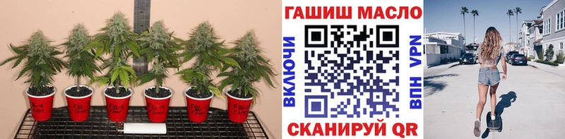 Купить  Бузулук  Дистиллят ТГК Wax 