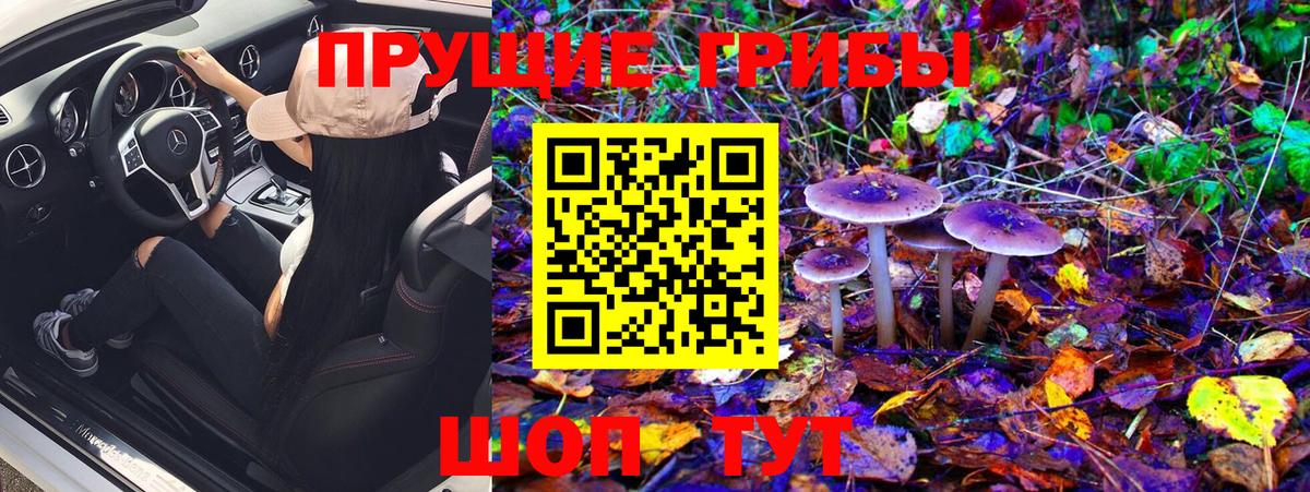 Галлюциногенные грибы GOLDEN TEACHER  Бузулук 