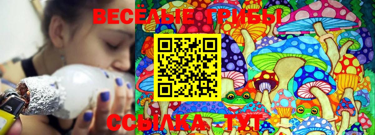 Псилоцибиновые грибы Psilocybine cubensis  Вход с VPN  Бузулук  Псилоцибиновые грибы Cubensis 